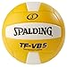 Do It Tennis Spalding TF-VB5 Indoor Volleyball - NFHS Approved