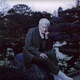 Androgynous Mary [Vinyl LP]