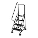 Rolling Ladder, Handrail, Platform 36 In H