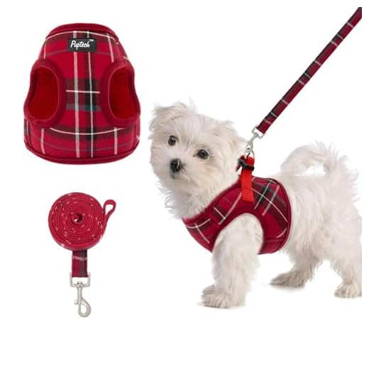 Soft Mesh Small Dog Harness with Leash - Basic Plaid Padded Chest Vest for Kitties,Puppy,Small Pets