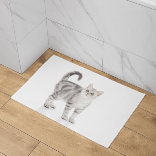 Paillasson d'entrée intérieur chat CEVAN pour un hall propre