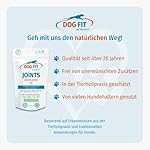 Joints Elements für Hunde I Mit Glucosamin, Chondroitin, MSM & Kollagen I Ohne künstliche Zusätze (Large ab 25 kg) – Bild 3