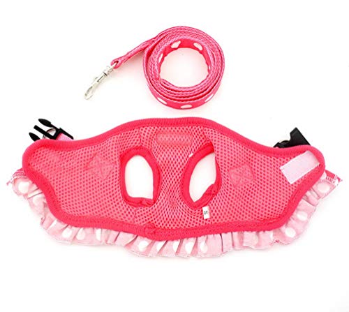 selmai Puppy klein Katze Mädchen Hund Vest Dots Harness Leine-Set Mesh Gepolsterte kein Ziehen Blei
