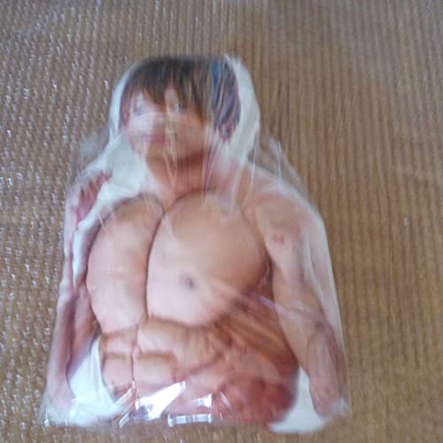 飯伏幸太 プロレス 筋肉クッション ぬいぐるみのサムネイル