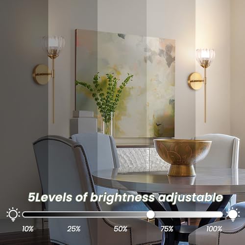 Image of Vintage Battery Operated Wall Sconce Set of 2,Rechargeable Wall Lights with RGB Dimmable Detachable Bulbs and Remote,LED Wireless Wall Lamps for Bedroom Living Room Hallway