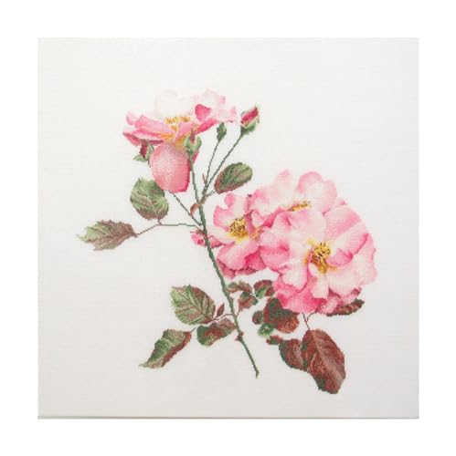 Kit point de croix Thea Gouverneur Rosa Leersum toile Aida premium pour adulte