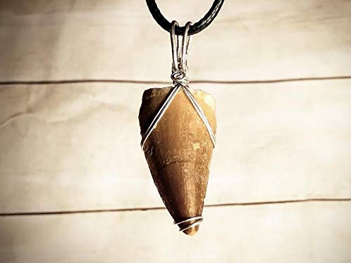 Tyrannosaurus Rex Dinosaur Tooth Necklace Fossil Replica