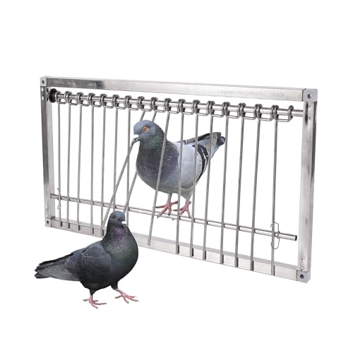 1PC Pigeon Trap Door Stainless Steel Entrance Trap Suitable for Quail Poultry Birds (50 * 26 cm)