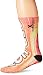 Odd Sox Men's Graphic Food & Beverage Collection Crew Socks