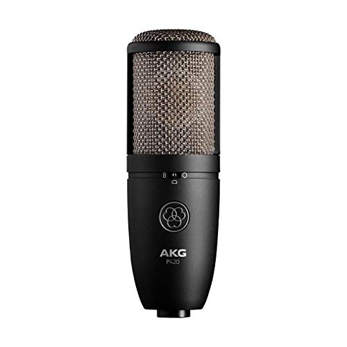 Akg Acoustics P420 Large Diaphragm Dual-Capsule True Condenser Microphone With Switchable Polar Patterns, 20Hz-20Khz Frequency Response - Bundle With Vocal Recording Setup Kit #TOP1