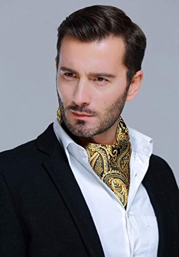 BIYINI Men's Cravats Paisley Floral Cravat and Handkerchief Ascot Tie Jacquard Woven Self Tie Cravats Business Formal Elegant Cravats for Men