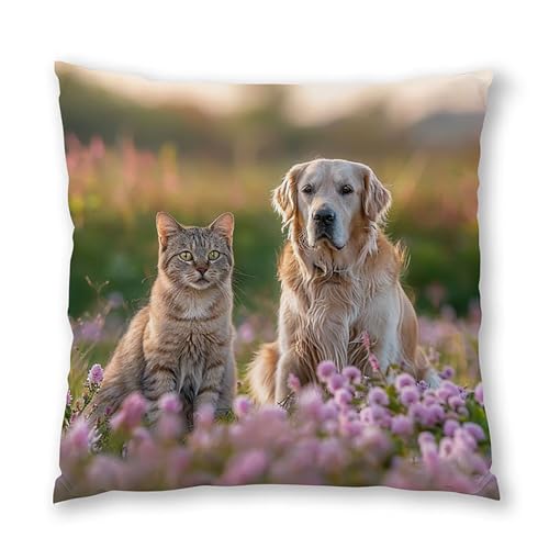 Housses de coussin imperméables 45x45 cm pour protéger vos oreillers de canapé