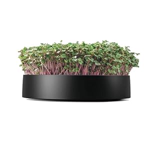 MOTHER MicroPod
