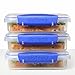 Sistema 3-Piece Sandwich Containers for Lunch Boxes and Meal Prep, Dishwasher Safe, 1.9-Cup, Clear/Blue