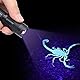 Taschenlampen, Violette Taschenlampe, 395/365 Nm Schwarzlicht-Taschenlampe, Tragbarer -Lichtdetektor für Unsichtbare Tintenstifte, Hunde, Katzen, Haustiere, Urinflecken, Mini-Geraderöhre für