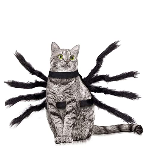 Disfraz Halloween Araña para Perros y Gatos miniatura 5