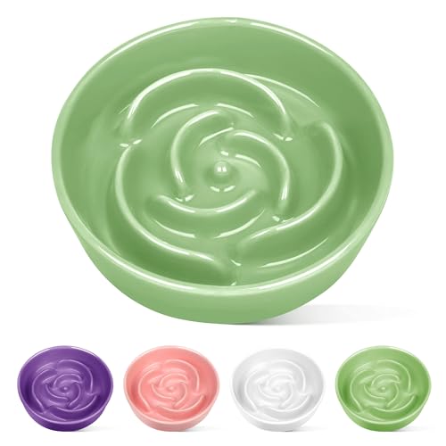 TRUVIC Ceramic Slow Feeder Dog Bowls, 1.5 Cup Puzzle Slow Feeder Bowls for Fast Eaters, Ceramic Dog Food Dish no Black Chin, Puzzle Bowl for Medium Dogs, Green