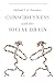 Consciousness and the Social Brain