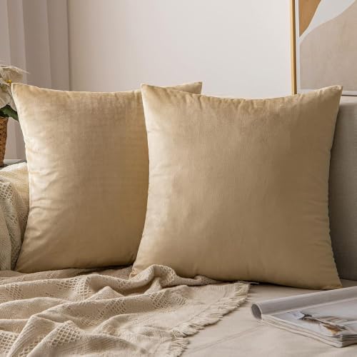 Image of 2 Piece Holland Velvet Cushion Cover, 14x14 inch | 36x36 cm | Beige | Solid Plain Soft & Smooth. Decorative Pillow Cases for Living Room, Bedroom, Couches, Sofa, Bed & Home Decor