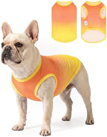 CuteBone Ombre Dog Tank Top for Small Dogs, Cats - Tropical Summe...