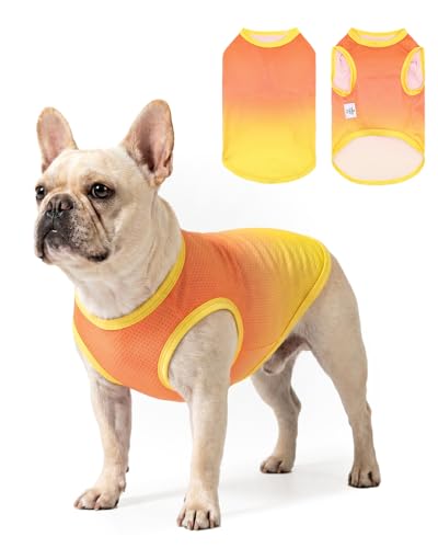 Image of CuteBone Ombre Dog Tank Top for Small Dogs, Cats - Tropical Summer Pet Vest - Breathable Ice Silk Cooling Shirt - Sun Protection, Photo, Casual Play, Walks
