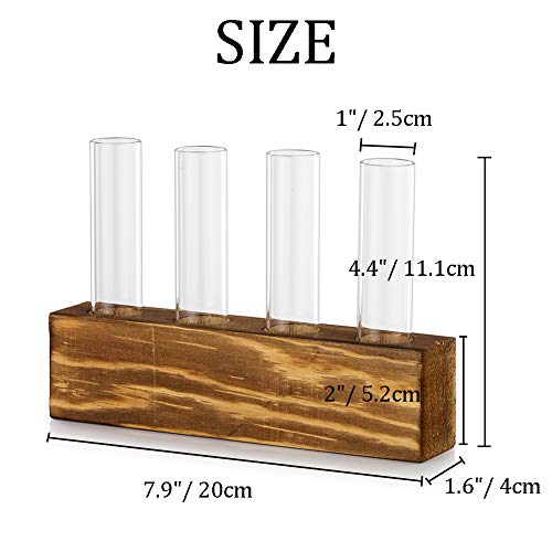 Tabletop Hanging Glass Planter Propagation Station Modern 4 Test Tube Flower Bud Vase In Wood Stand Rack Terrarium For Hydroponic Plants Cuttings Office Home Decoration, Gift For Plant Lover #TOP3