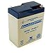 Power-Sonic 6V/9AH Sealed Lead Acid Battery w/ F1 Terminal