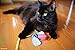 Hartz Just For Cats Twirl and Whirl Interactive Cat Toy Wand, All Breed Sizes