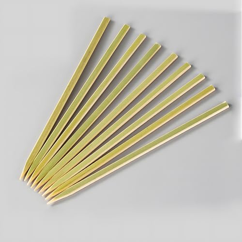 | ĝ 畽 [ | 21cm×6mm×3mm ē Ă Jc ؋ BBQ o[xL[  AEghA Lv p[eB[ ƒp Ɩp (100{)