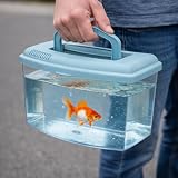 Aimé boîte de transport transparente 3 L avec couvercle photo 4