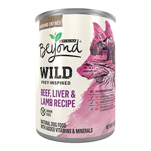 Purina Beyond High Protein, Grain Free, Natural Pate Wet Dog Food, WILD Beef, Liver & Lamb Recipe - (12) 13 oz. Cans