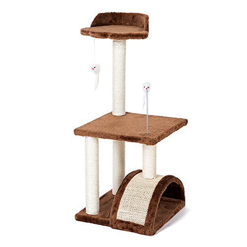 cat play climbing frame