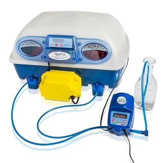 Borotto couveuse automatique Real 24 avec Sirio intégré