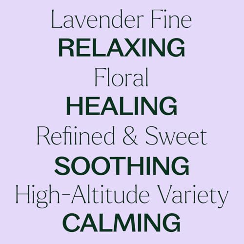 Aceite esencial Lavanda Fine 10 mL 100% puro miniatura 4