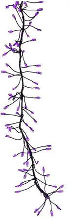 Celebrations Purple 250 ct 3 in. LED Prelit Connectable Big Seed Cluster Halloween Lights