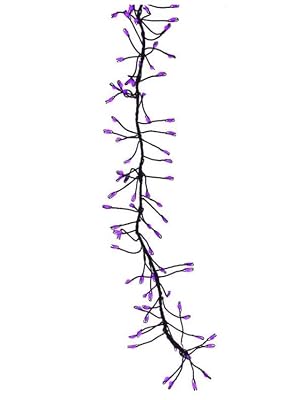 Celebrations Purple 250 ct 3 in. LED Prelit Connectable Big Seed Cluster Halloween Lights