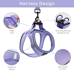 BELLA & PAL Puppy Harness with Leash Set, Dog Harness for Small Dogs No Pull, Dog Leash for Small Dogs, Step in Harness for Extra Small Dogs, Purple Lavender Harness, S BELLA & PAL Puppy Harness with Leash Set, Dog Harness for Small Dogs No Pull, Dog Leash for Small Dogs, Step in Harness for Extra Small Dogs, Purple Lavender Harness, S
