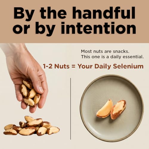 Image of Premium Wild Harvested Raw Brazil Nuts, 1 lb (16oz) - High Selenium, Batch Tested Peanut & Gluten Free, Non-GMO, Kosher, Resealable Bag