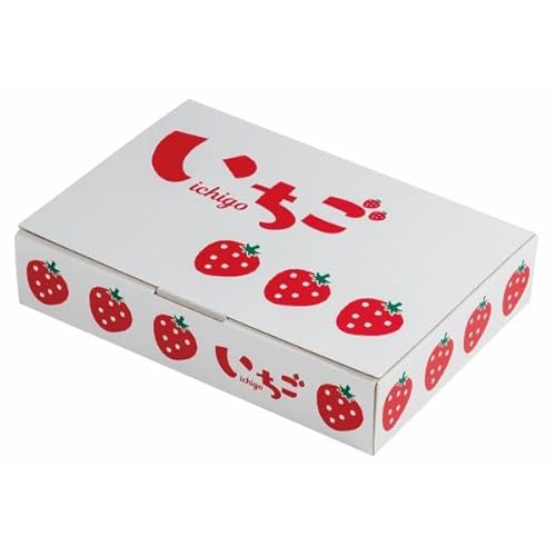 }jpbP[W CXgl250g2P(100) L-2504