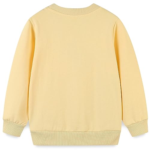 Bumeex Toddler Girl Sweatshirt Clothes Outfit,Cotton Crewneck Christmas Clothing2