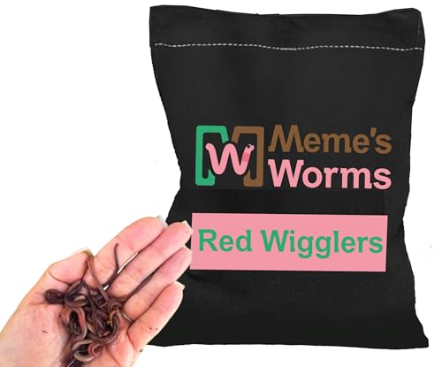 Pure Red Wigglers Composting Worms Farm Raised