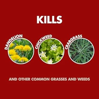 Spectracide Weed & Grass Killer Concentrate2, 32-Ounce, 6-Pack