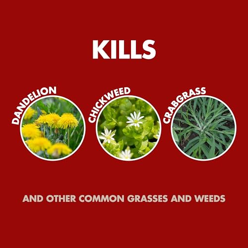 Spectracide Weed & Grass Killer Concentrate2, 32-Ounce, 6-Pack