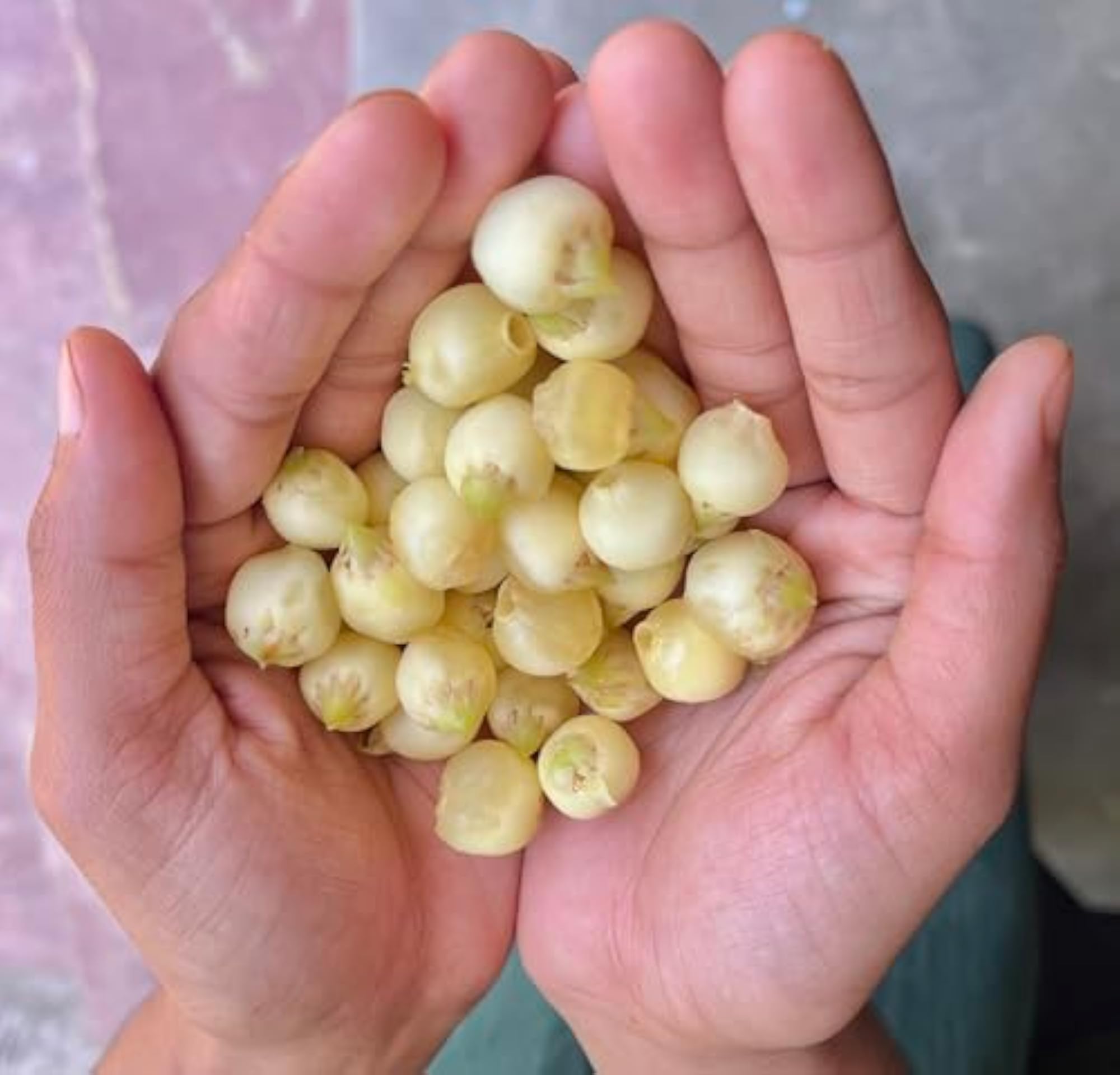 AWADH Desi Mahua Flower Dried, 250 Grams