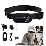 JeaTone Pet Collar Camera,Cat Camera Collar with 8G SD Card,No WiFi No App Dog Collar Camera,Indoor/Outdoor Pet Cam,Action Sport Dog Cam,Cat Cam with Video Records,Birthday Gifts for Cats,Dogs