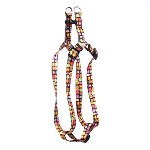 Image of Yellow Dog Design Bright Fun Step-in Dog Harness 1 inch Wide and Fits Chest Circumference of 25 to 40 inch, Large