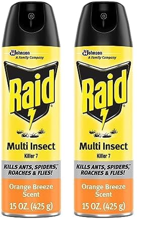 RaidMulti Insect Killer, Orange Breeze Scent Bug Killer for Indoor and Outdoor Use, Kills Bugs on Contact, 15 Oz (Pack of 2)