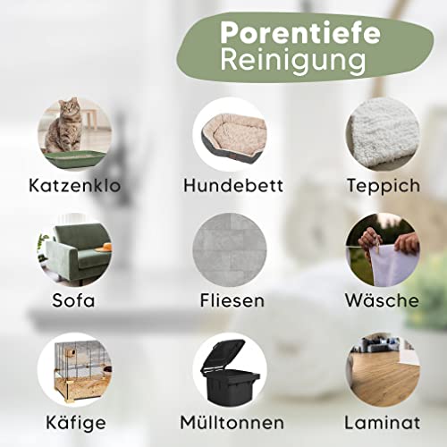 Pawlie's Tier-Geruchsneutralisierer (EXTREM STARK) & Enzymreiniger Katzenurin Geruchsentferner & Hundeurin neutralisieren | Strenge Gerüche & Flecken aus Teppich, Sofa entfernen (500 ml)