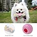 JYPS Puppy Chew Toys, 4pcs Juego de Juguete para la dentición del...