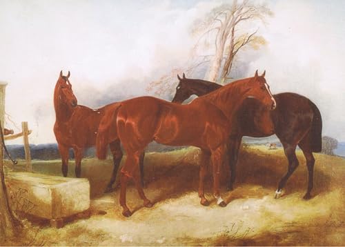 Tableaux Graffiti Art Mural chevaux de Frederick Herring Senior, poster moderne 60x90cm